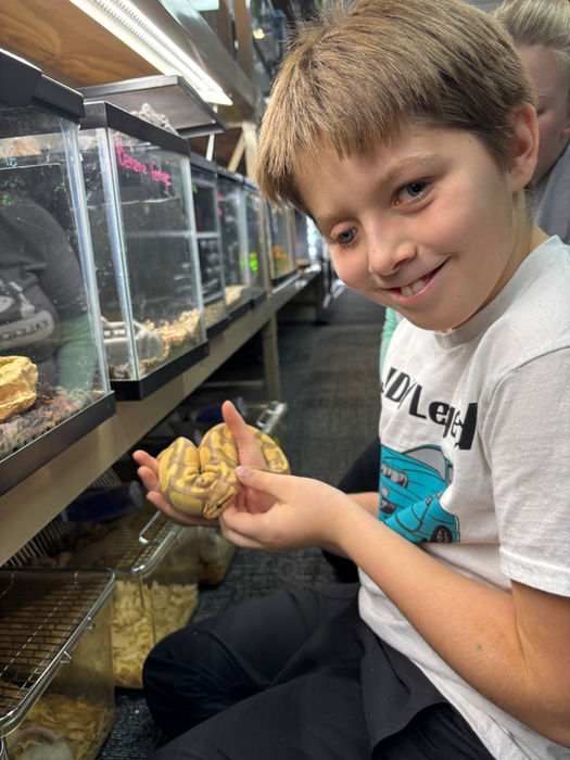 A young boy smiling while holding a curled up ball python in his hands during community based instruction
